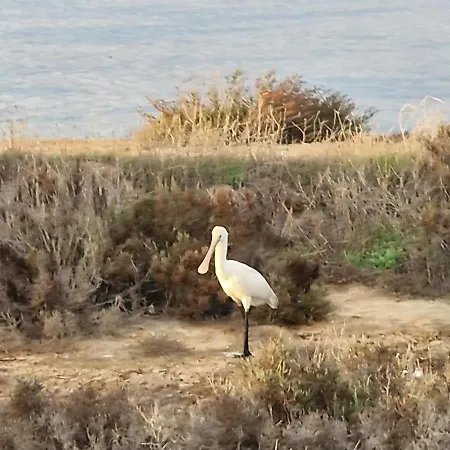 Homestay Sleep And Fly *