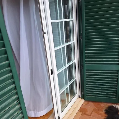 Sleep And Fly Homestay *