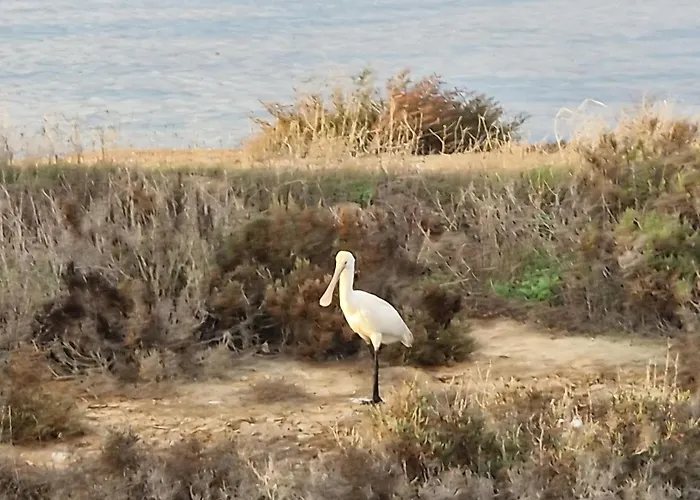Séjour chez l'habitant Sleep And Fly *